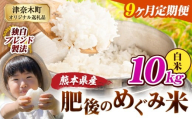 【9ヶ月定期便】白米 熊本県産 ブレンド米 肥後のめぐみ米 10kg 熊本県産 ふるさと納税 精米 米 こめ ふるさとのうぜい コメ お米 おこめ《お申込み翌月から出荷》