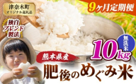 【9ヶ月定期便】無洗米 熊本県産 ブレンド米 肥後のめぐみ米 10kg 熊本県産 ふるさと納税 米 こめ ふるさとのうぜい コメ お米 おこめ《お申込み翌月から出荷》