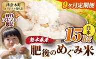 【9ヶ月定期便】白米 熊本県産 ブレンド米 肥後のめぐみ米 15kg 熊本県産 ふるさと納税 精米 米 こめ ふるさとのうぜい コメ お米 おこめ《お申込み翌月から出荷》