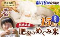 【6回隔月定期便】無洗米 熊本県産 ブレンド米 肥後のめぐみ米 15kg 熊本県産 ふるさと納税 米 こめ ふるさとのうぜい コメ お米 おこめ《お申込み翌月から出荷》