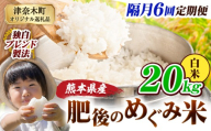【6回隔月定期便】白米 熊本県産 ブレンド米 肥後のめぐみ米 20kg 熊本県産 ふるさと納税 精米 米 こめ ふるさとのうぜい コメ お米 おこめ《お申込み翌月から出荷》