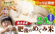 【9ヶ月定期便】無洗米 熊本県産 ブレンド米 肥後のめぐみ米 20kg 熊本県産 ふるさと納税 米 こめ ふるさとのうぜい コメ お米 おこめ《お申込み翌月から出荷》