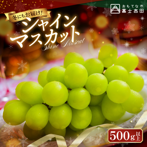 【お届け時期が選べる】ジューシーで甘さ抜群　厳選シャインマスカット500g 2432572 - 山梨県富士吉田市