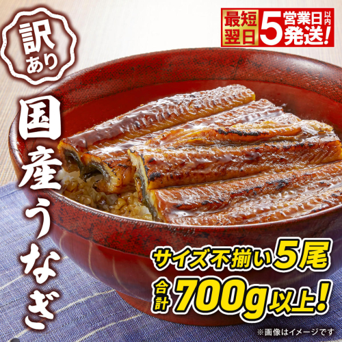 〈最短翌日発送〉【訳あり】さかい河岸水産 国産 うなぎ 蒲焼き 5尾 700g以上！ ※サイズ不揃い 小分け K2672 2432579 - 茨城県境町