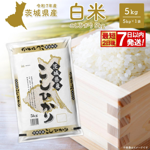 期間限定!! 【最短2日後7日以内発送】【令和7年産/白米】 こしひかり 5kg 茨城県産 米 小分け 2025年産 K2670 2432589 - 茨城県境町