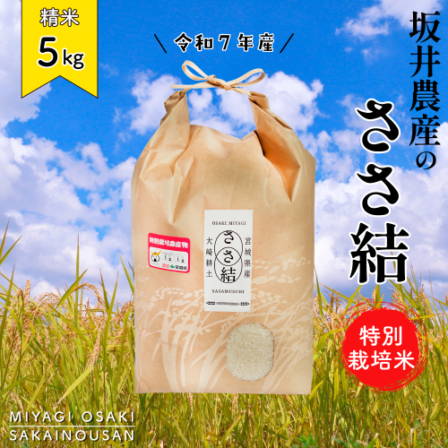 坂井農産のささ結 特別栽培米 宮城県産 白米 5kg 2432599 - 宮城県大崎市