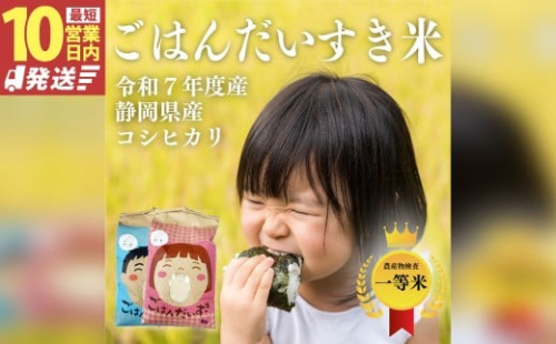 【10営業日発送】【令和7年産】静岡県産コシヒカリ 精米 5kg （5kg×1袋） 【2026年8月下旬迄順次発送予定】 コシヒカリ こしひかり 白米 米 コメ こめ ご飯 ごはん 新米 菊川市 静岡県 2432605 - 静岡県菊川市