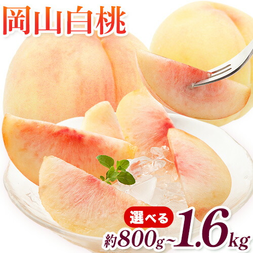 【先行予約】桃 岡山白桃 選べる 800g 1.2kg 1.4kg 1.6kg 株式会社藍《2026年7月中旬-7月末頃出荷》 岡山県 浅口市 岡山県産 もも フルーツ 果物 くだもの 白桃 送料無料 2432623 - 岡山県浅口市