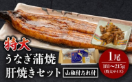 [2026年3月発送予定]国産うなぎ蒲焼(特大サイズ)・肝焼きセット_M069-015_01-mar