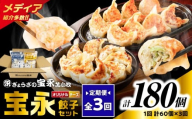 【全3回定期便（毎月）】チーズ餃子セット（宝永餃子 15個入×2袋＆チーズ餃子 15個入×2袋）合計1.5kg　T004-T02-02