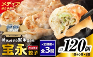 【全3回定期便（毎月）】宝永餃子10個入セット（宝永餃子10個入×4袋）合計1.0kg　T004-T03-02