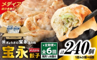 【全6回定期便（隔月）】宝永餃子10個入セット（宝永餃子10個入×4袋）合計1.0kg　T004-T03-03