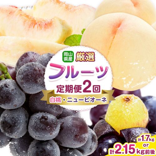 【先行予約】岡山県産 厳選 フルーツ 定期便 2回 白桃 ニューピオーネ 選べる 計1.7kg前後 計2.15kg前後 株式会社藍《2026年7月上旬-9月末頃出荷》 岡山県 浅口市 岡山県産 白桃 桃 ニューピオーネ 種無し 旬 フルーツ 果物 くだもの 送料無料 【配送不可地域あり】
 2432731 - 岡山県浅口市