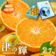 【12月～2月上旬発送】佐賀市大和町産みかん「津の輝」 温州みかん 佐賀みかん 贈答 ギフト：B150-076