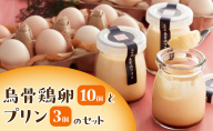 鳥骨鶏卵（10個）とプリン（3個）のセット たまご 烏骨鶏 プリン スイーツ お菓子 静岡県 森町