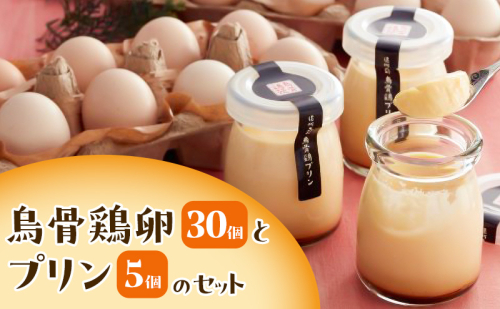 鳥骨鶏卵（30個）とプリン（5個）のセット たまご 烏骨鶏 プリン スイーツ お菓子 静岡県 森町 2433087 - 静岡県森町