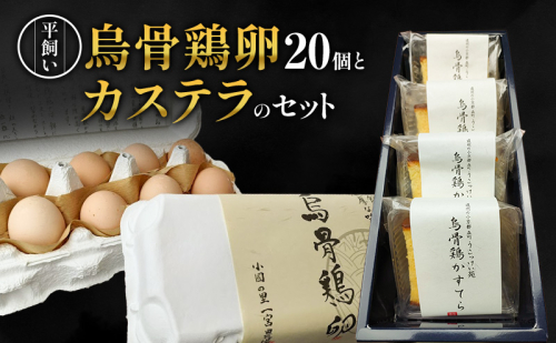 卵 カステラ 静岡 平飼い烏骨鶏の卵20個とカステラのセット たまご 鶏卵 カステラ 和菓子 静岡県 森町 2433088 - 静岡県森町