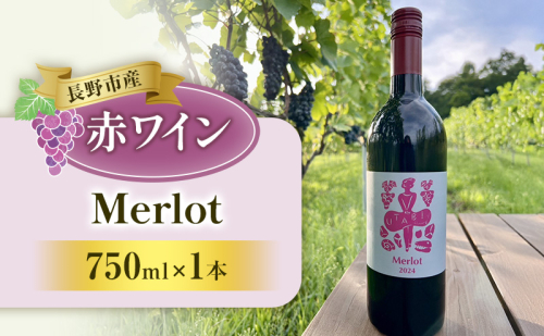ワイン Merlot 赤ワイン 750ml お酒  信州 長野市 2433099 - 長野県長野市