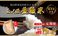 ＜3ヶ月定期便＞ 令和7年産 富山県産コシヒカリ 5kg お米自慢コンクール優秀賞！ 米 コシヒカリ 頒布 定期便 白米 精米 富山県 氷見市