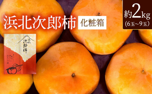 静岡県浜松市産 次郎柿 約2kg 6玉～9玉 柿 甘柿 フルーツ 果物 化粧箱入 静岡 浜松市【配送不可：離島】 2433248 - 静岡県浜松市