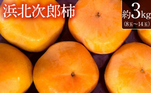 静岡県浜松市産 次郎柿 約3kg　8玉～14玉 柿 甘柿 フルーツ 果物 化粧箱入 静岡 浜松市【配送不可：離島】 2433249 - 静岡県浜松市
