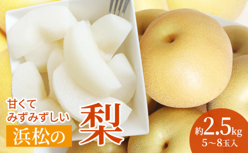 浜松市産 梨 約2.5kg 5～8玉入り なし フルーツ 果物 静岡 浜松市【配送不可：離島】 2433250 - 静岡県浜松市