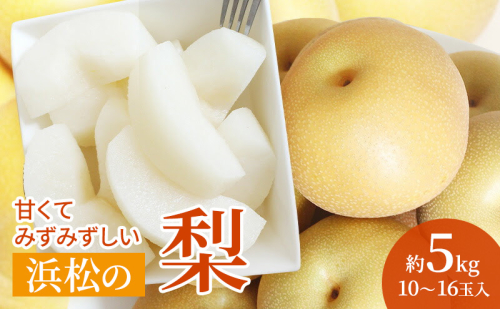 浜松市産 梨 約5kg 10〜16玉入り なし フルーツ 果物 静岡 浜松市【配送不可：離島】 2433251 - 静岡県浜松市