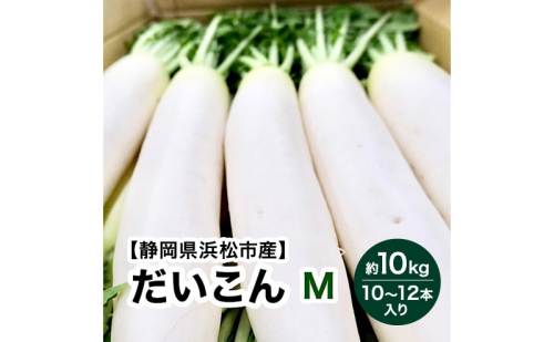 【静岡県浜松市産】大根 Mサイズ 約10kg 10～12本入り 【配送不可：離島】 だいこん ダイコン 根菜 静岡 浜松市 2433254 - 静岡県浜松市