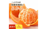【訳あり】三ヶ日平山産 加藤柑橘園のみかん 約5kg みかん ミカン 蜜柑 青島みかん フルーツ 静岡 浜松市