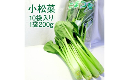 小松菜 10袋入り 1袋200g 約2kg 【配送不可：離島】 こまつな こまつ菜 サラダ 野菜 おひたし 静岡 浜松市 2433257 - 静岡県浜松市