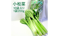 小松菜 10袋入り 1袋200g 約2kg 【配送不可：離島】 こまつな こまつ菜 サラダ 野菜 おひたし 静岡 浜松市