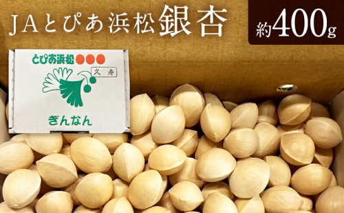 JAとぴあ浜松 銀杏 約400g 【配送不可：離島】 ギンナン 静岡 浜松市 2433258 - 静岡県浜松市