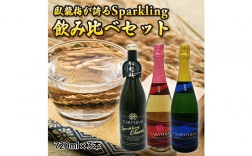 臥龍梅 Garyubai Sparkling 3種飲み比べセット【720mL×3本セット】 2433296 - 静岡県静岡市
