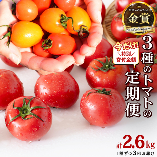 【1/31まで特別寄附金額】【 3回定期便 】 厳選 フルーツトマト 3品種セット（ 毎月1種ずつお届け ） てるて姫 ミニトマト 2026年収穫分 先行予約 フルーツトマト ブランドトマト 野菜 [BC091sa] 2433357 - 茨城県桜川市