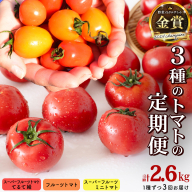 【 3回定期便 】 厳選 フルーツトマト 3品種セット（ 毎月1種ずつお届け ） てるて姫 ミニトマト 2026年収穫分 先行予約 フルーツトマト ブランドトマト 野菜 [BC091sa]