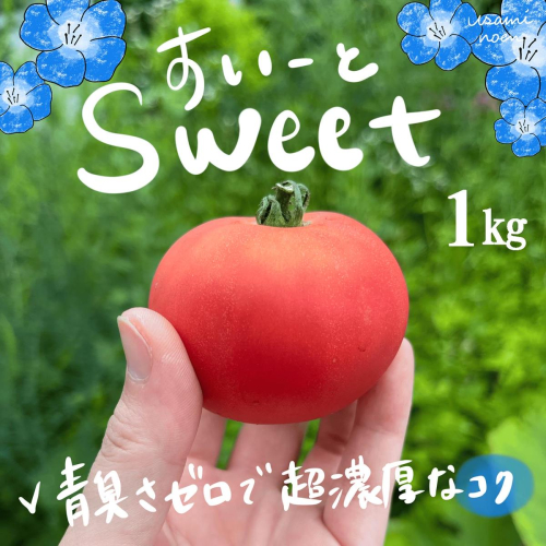 【2026年予約】極旨トマトクール便 北海道壮瞥町産 スイート1kg 中玉トマト SBTAJ016 2433363 - 北海道壮瞥町