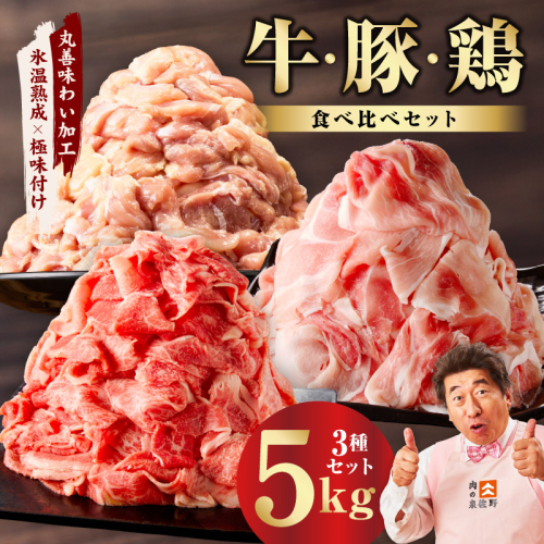 国産 牛肉＆豚肉＆鶏肉セット 5kg【氷温熟成×極味付け 3種 食べ比べ 普段使い 味付き 小分け 訳あり サイズ不揃い 】 mrz0368 2433368 - 大阪府泉佐野市