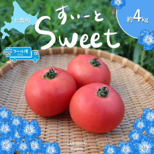 【2026年予約】極旨トマトクール便 北海道壮瞥町産 スイート4kg 中玉トマト SBTAJ020 2433369 - 北海道壮瞥町
