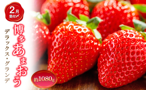 いちご 4パック 計約1080g 博多あまおう デラックス グランデ セット 詰め合わせ おまおう 苺 イチゴ 果物 くだもの フルーツ 旬のフルーツ 季節の果物 福岡 福岡県 大刀洗町 お申込：2026年2月10日迄 2433500 - 福岡県大刀洗町