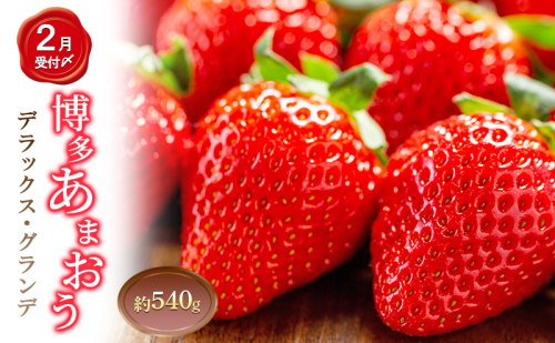 いちご 2パック 計約540g 博多あまおう デラックス グランデ セット 詰め合わせ おまおう 苺 イチゴ 果物 くだもの フルーツ 旬のフルーツ 季節の果物 福岡 福岡県 大刀洗町 お申込：2026年2月10日迄 2433503 - 福岡県大刀洗町