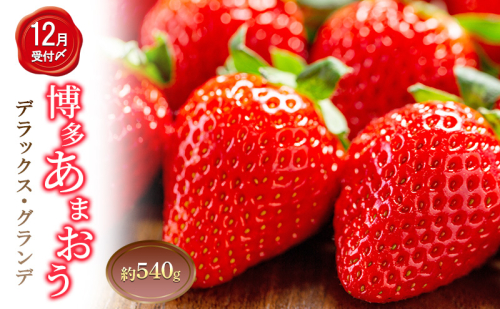 いちご 2パック 計約540g 博多あまおう デラックス グランデ セット 詰め合わせ おまおう 苺 イチゴ 果物 くだもの フルーツ 旬のフルーツ 季節の果物 福岡 福岡県 大刀洗町 お申込：2025年12月末迄 2433505 - 福岡県大刀洗町