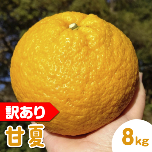 【訳あり】甘夏8kg | 数量限定 あまなつ 夏みかん 柑橘 かんきつ くだもの フルーツ 国産 愛知県 知多半島 美浜町 農家直送 産地直送 ※北海道・沖縄・離島への配送不可 ※2026年4月上旬～5月下旬頃に順次発送予定 2433542 - 愛知県美浜町