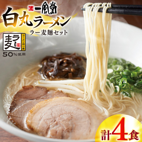 ラーメン 一風堂 白丸 ラー麦麺 セット 4食 [地域商社ふるさぽ 福岡県 宇美町 um40bfw220017] 豚骨 とんこつ らーめん 拉麺 豚骨ラーメン とんこつラーメン 博多ラーメン まとめ買い 2433550 - 福岡県宇美町