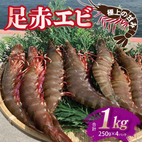足赤エビ 1kg【国産 えび 天然 ぷりぷり 海鮮 水揚げ 生食可】 030D229 2433555 - 大阪府泉佐野市