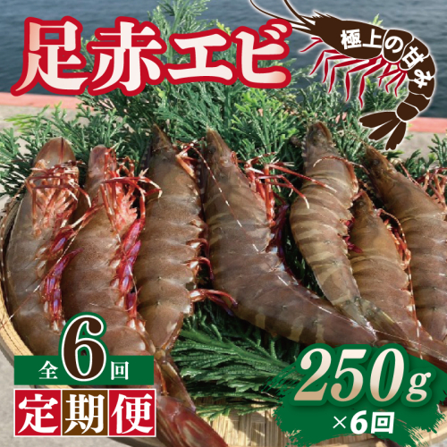 【定期便】足赤エビ 250g×全6回 計1.5kg【国産 えび 天然 ぷりぷり 海鮮 水揚げ 生食可】 099Z387 2433559 - 大阪府泉佐野市