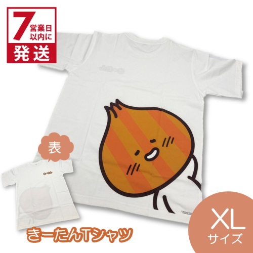 《7営業日以内に発送》きーたんTシャツ XLサイズ ( Tシャツ シャツ トップス XL イラスト 可愛い )【165-0013】 2433565 - 北海道北見市