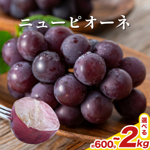【先行予約】 岡山県産 ニューピオーネ詰合せ 選べる 計600g～2kg 株式会社はちや《6月下旬‐7月下旬頃出荷》岡山県 浅口市 ぶどう 葡萄 フルーツ ギフト 果物 デザート 国産 送料無料【配送不可地域あり】 2433590 - 岡山県浅口市