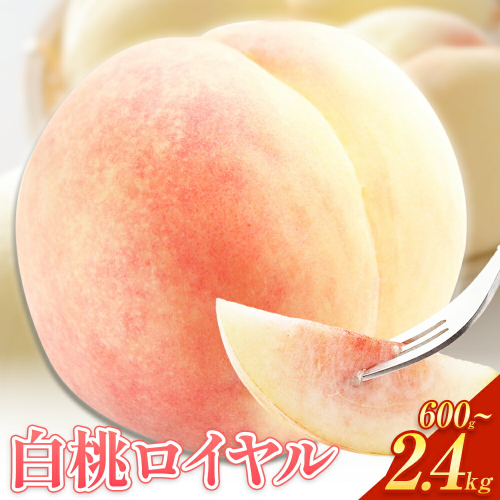 【先行予約】岡山白桃 等級 ロイヤル 【選べる】600g～2.4kg 《7月上旬‐8月下旬頃出荷》もも モモ 岡山 国産 フルーツ 果物 岡山県 浅口市 株式会社 はちや フルーツ モモ 果物 青果 旬 白桃 国産 岡山県産【配送不可地あり】 2433591 - 岡山県浅口市