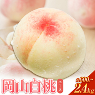 【先行予約】岡山白桃 等級 エース 【選べる】約600g～2.4kg 《7月上旬‐8月下旬頃出荷》株式会社 はちや もも モモ 岡山 国産 フルーツ 果物 岡山県 浅口市 フルーツ モモ 果物 青果 旬 白桃 国産 岡山県産【配送不可地域あり】