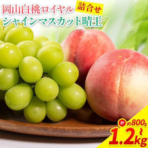 【先行予約】岡山県産 岡山白桃 ロイヤル L～ 3Lサイズ シャインマスカット 選べる 計 800g 1kg 1.2kg 詰合せ 株式会社 はちや《7月上旬‐8月下旬頃出荷》もも 岡山 国産 フルーツ 果物 岡山県 浅口市 フルーツ モモ 果物【配送不可地域あり】 2433593 - 岡山県浅口市